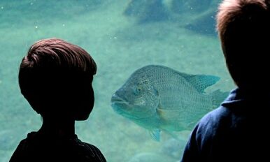 Découvrez les activités à faire avec les enfants, même en hiver !