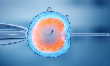 Qu’est ce que la Fécondation In Vitro ?