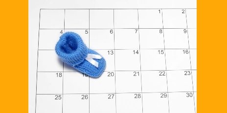 calendrier-grossesse Suivi de grossesse : l’agenda de la future maman